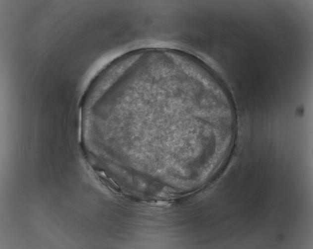 X0000116631223200912312153