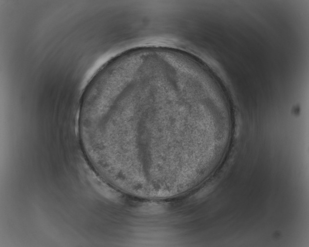 X0000116631224200912312153