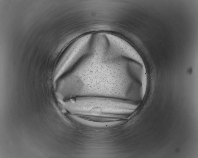 X0000116631225200912312153