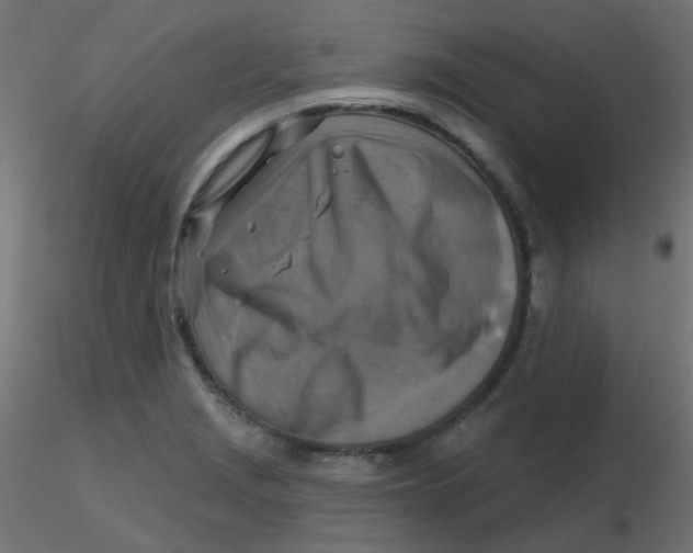 X0000116631229200912312153