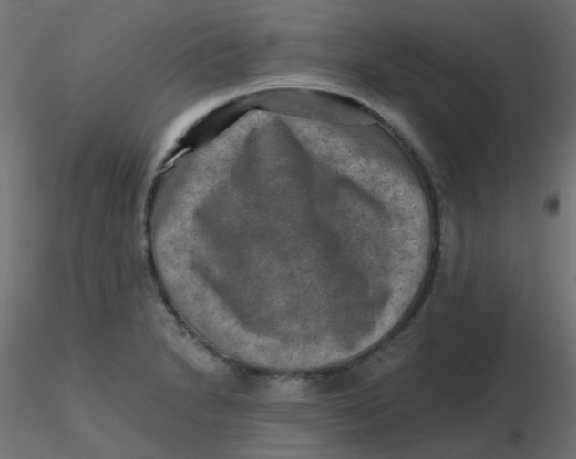 X0000116631230200912312153