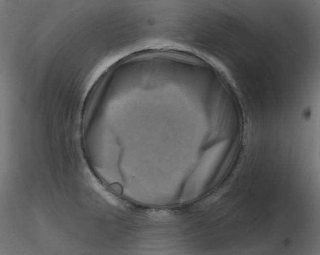 X0000116631231200912312153