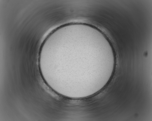 X0000116631232200912312153