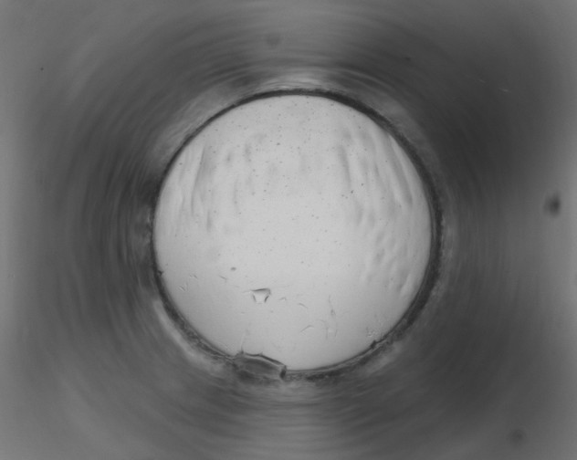 X0000116631233200912312153
