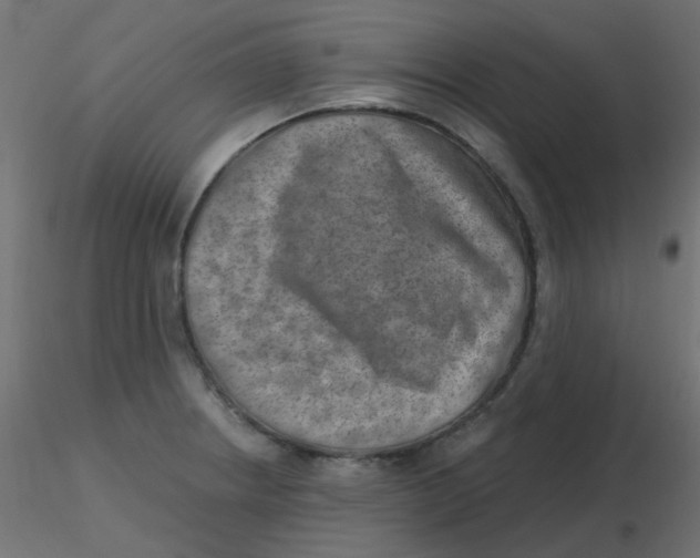 X0000116631234200912312153