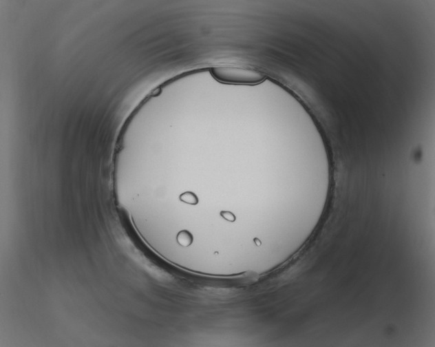 X0000116631236200912312153