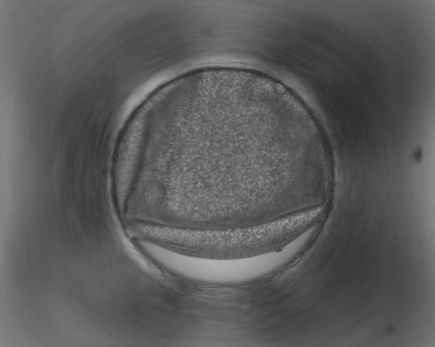 X0000116631237200912312153