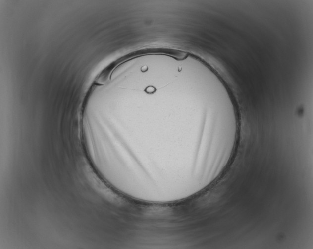 X0000116631238200912312153