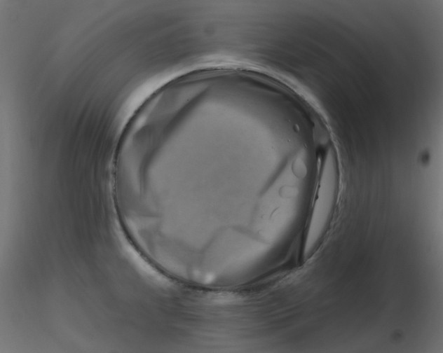 X0000116631239200912312153