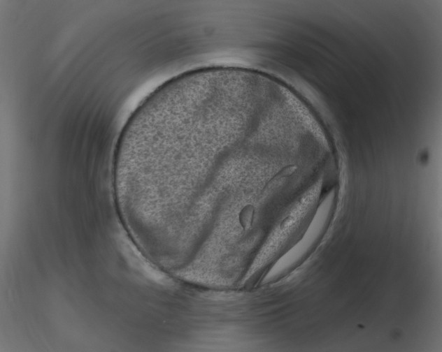 X0000116631240200912312153