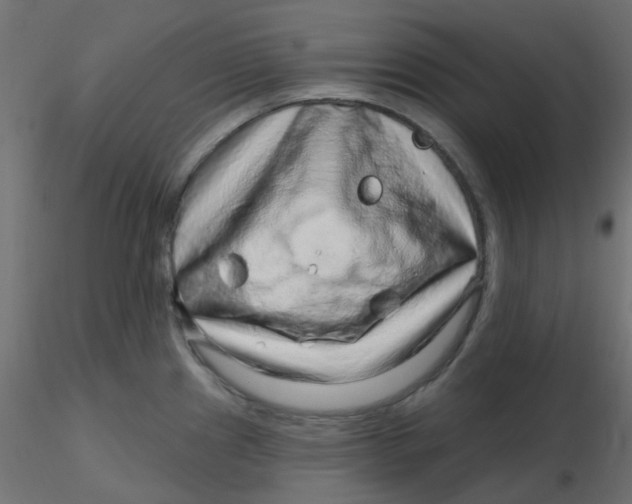 X0000116631241200912312153