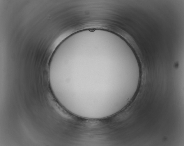 X0000116631242200912312153