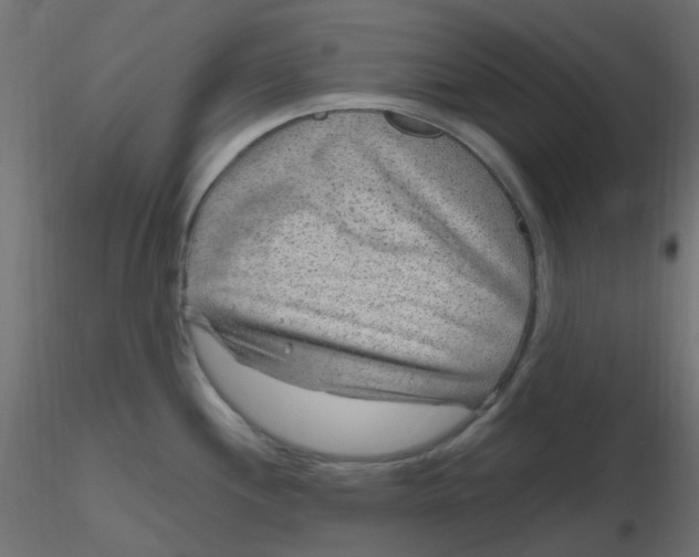 X0000116631244200912312153