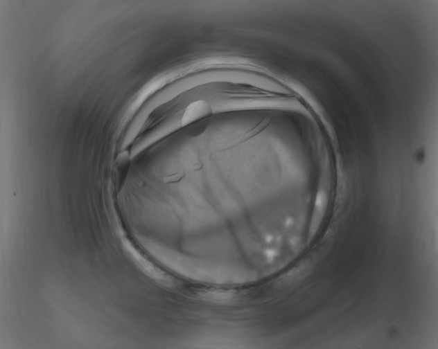 X0000116631245200912312153