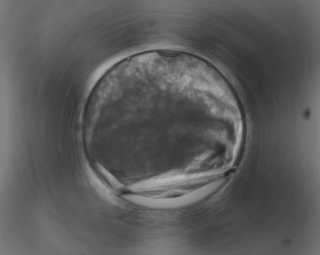 X0000116631246200912312153
