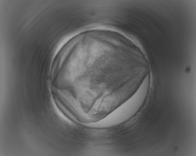 X0000116631247200912312153