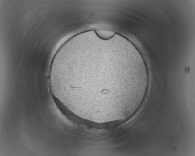 X0000116631248200912312153