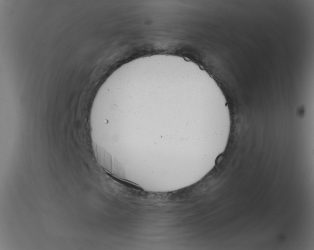 X0000116631249200912312152