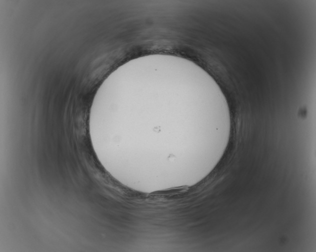 X0000116631250200912312152