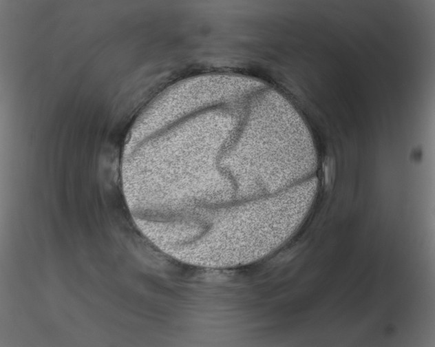 X0000116631251200912312152