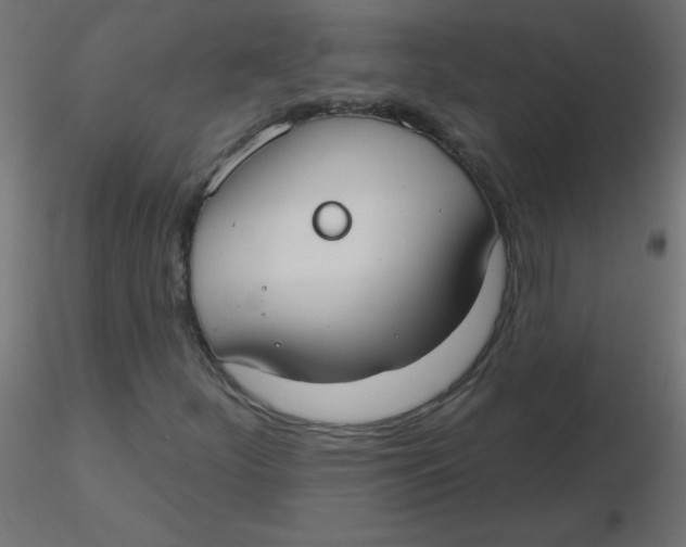 X0000116631252200912312152