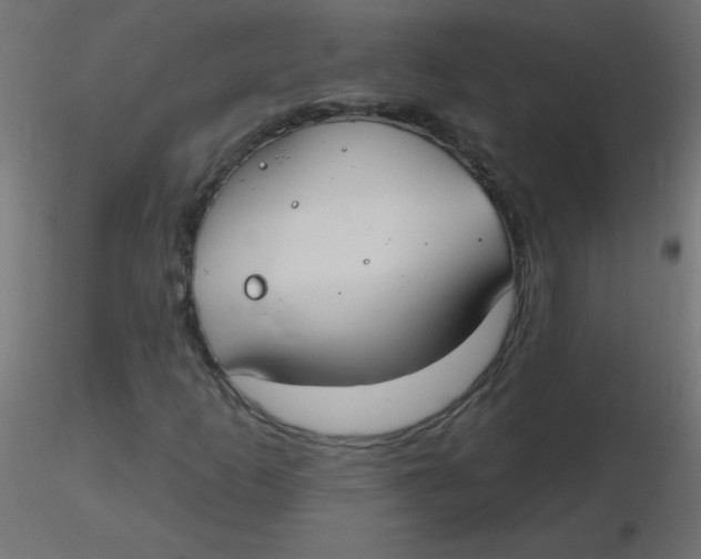 X0000116631253200912312152