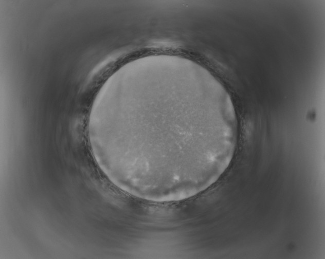 X0000116631254200912312152