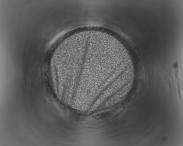 X0000116631255200912312152