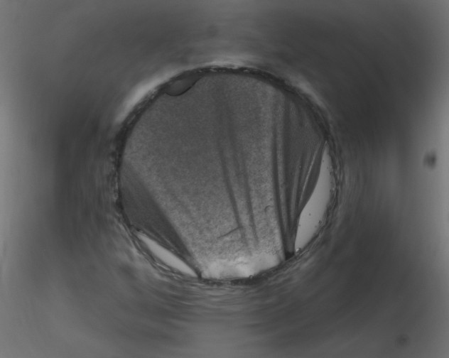 X0000116631256200912312152