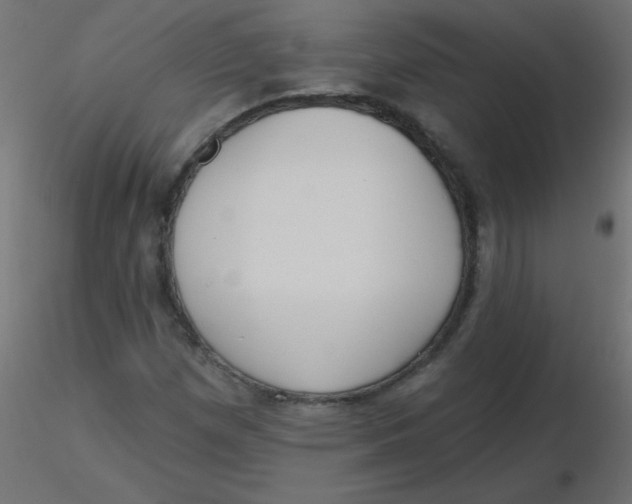 X0000116631257200912312152