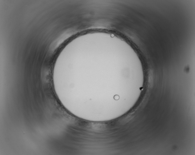 X0000116631258200912312152