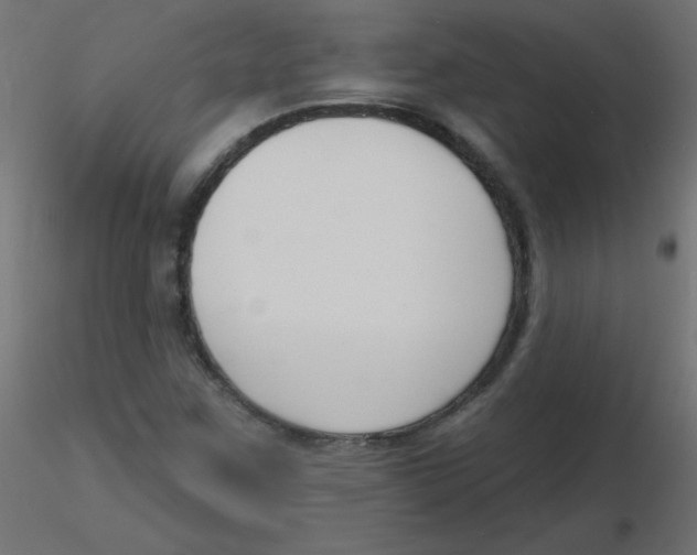 X0000116631259200912312152