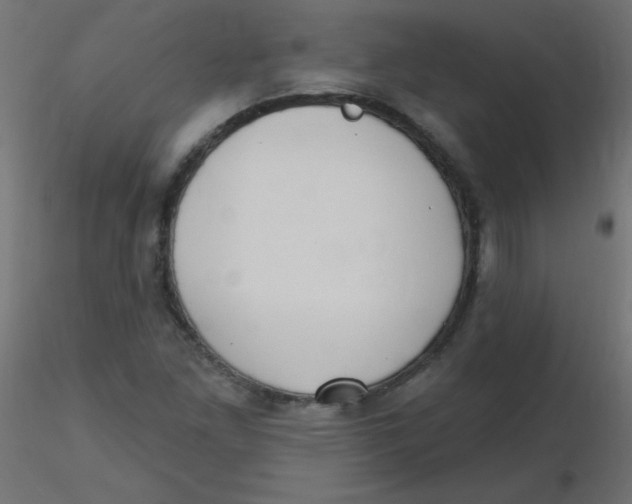 X0000116631261200912312152