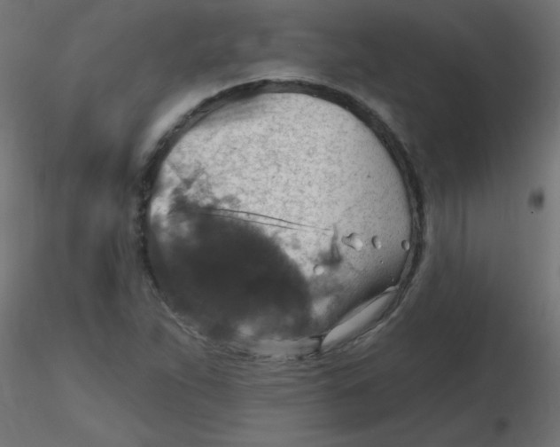 X0000116631263200912312152