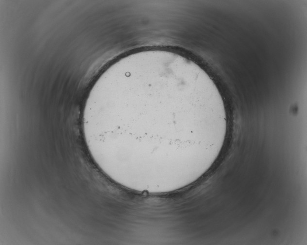 X0000116631265200912312152