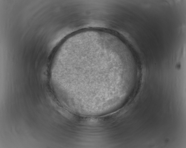 X0000116631266200912312152
