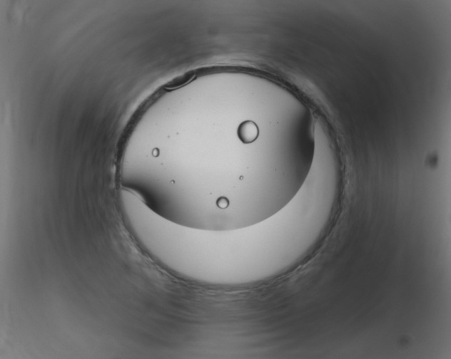 X0000116631268200912312152