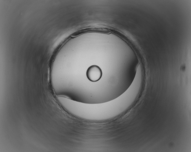 X0000116631269200912312152