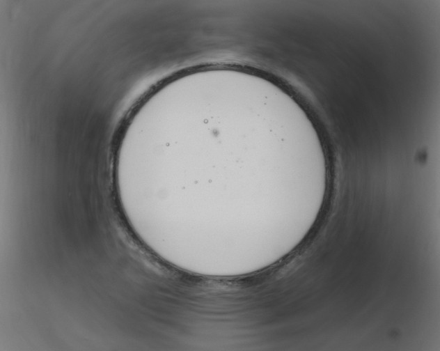 X0000116631270200912312152