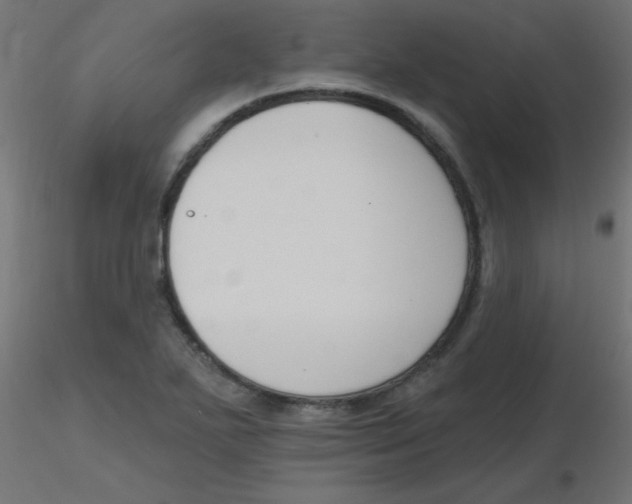 X0000116631271200912312152