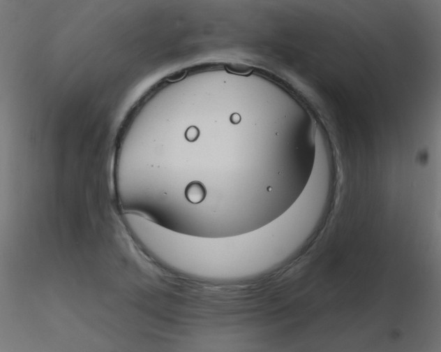X0000116631272200912312152