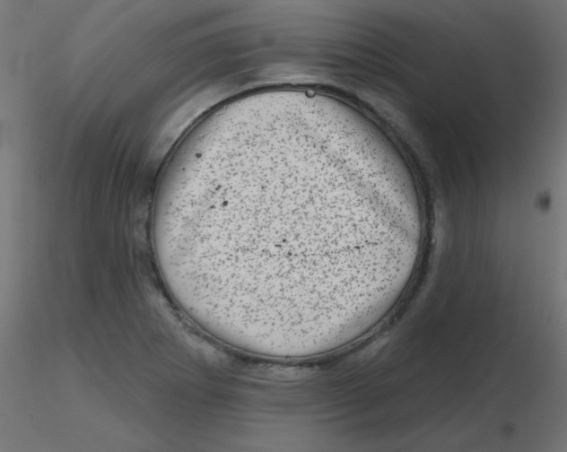 X0000116631273200912312152
