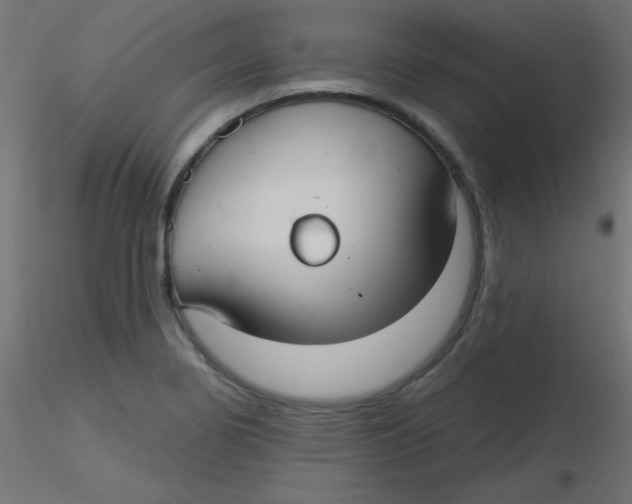 X0000116631274200912312152