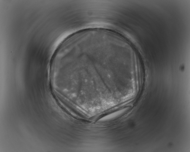 X0000116631275200912312152