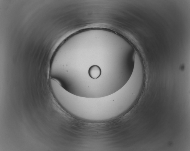 X0000116631276200912312152