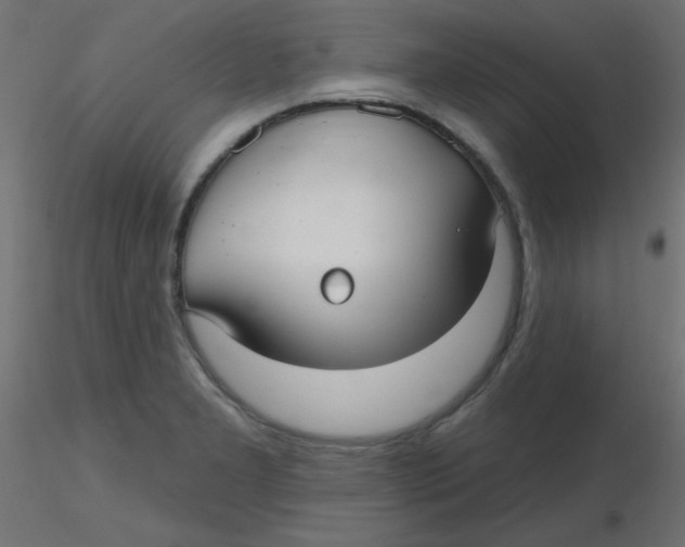 X0000116631277200912312152
