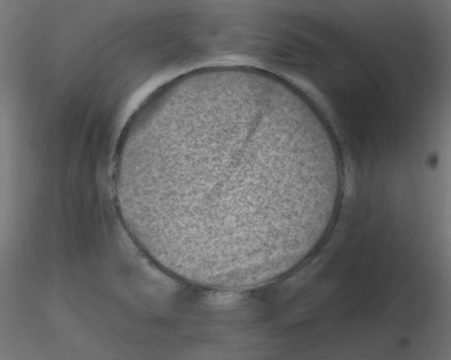 X0000116631278200912312152