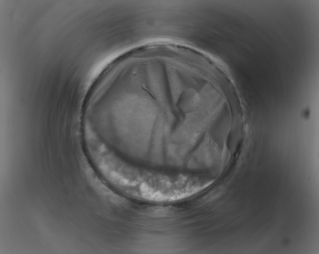X0000116631279200912312152