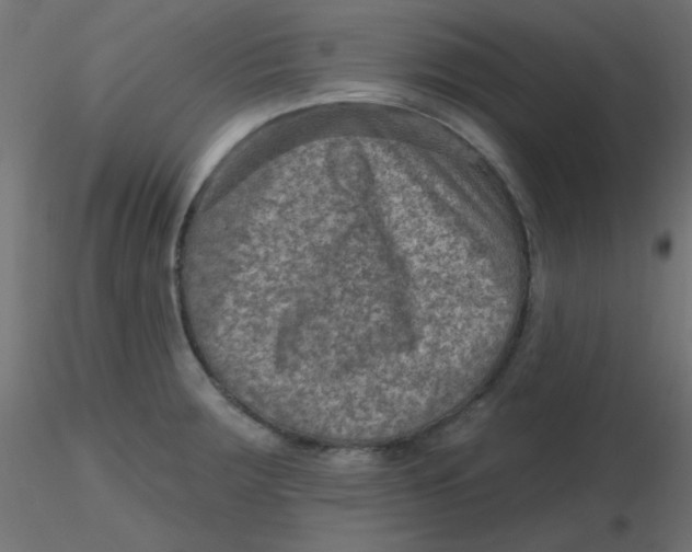 X0000116631283200912312152
