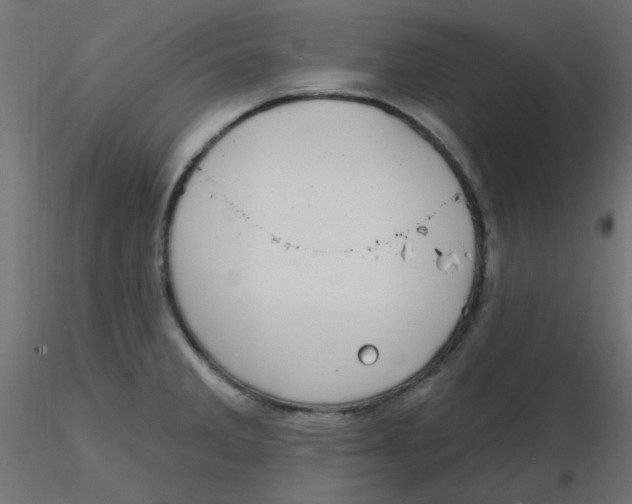 X0000116631285200912312152